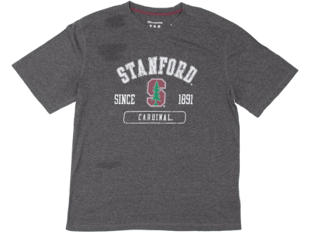 CHAMPION Stanford Cardinal Mens T-Shirt Grey USA M For Cheap