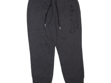 CALVIN KLEIN PERFORMANCE Womens Joggers Grey Tapered L W32 L24 Online Hot Sale