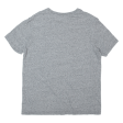 CHAMPION Mens T-Shirt Grey XS Supply